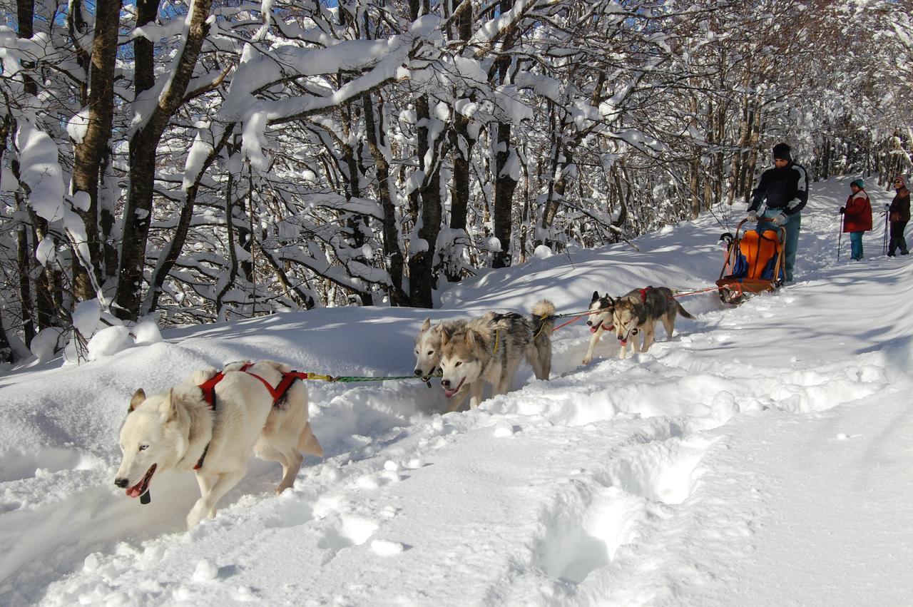 Rifugio Casello Margherita Camigliatello Silano Dış mekan fotoğraf